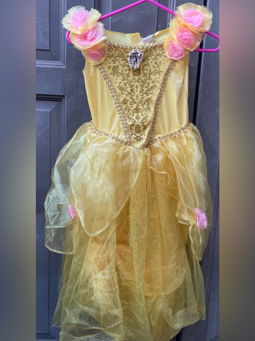 Disney Princess Belle Gown with Pink Rose Accents